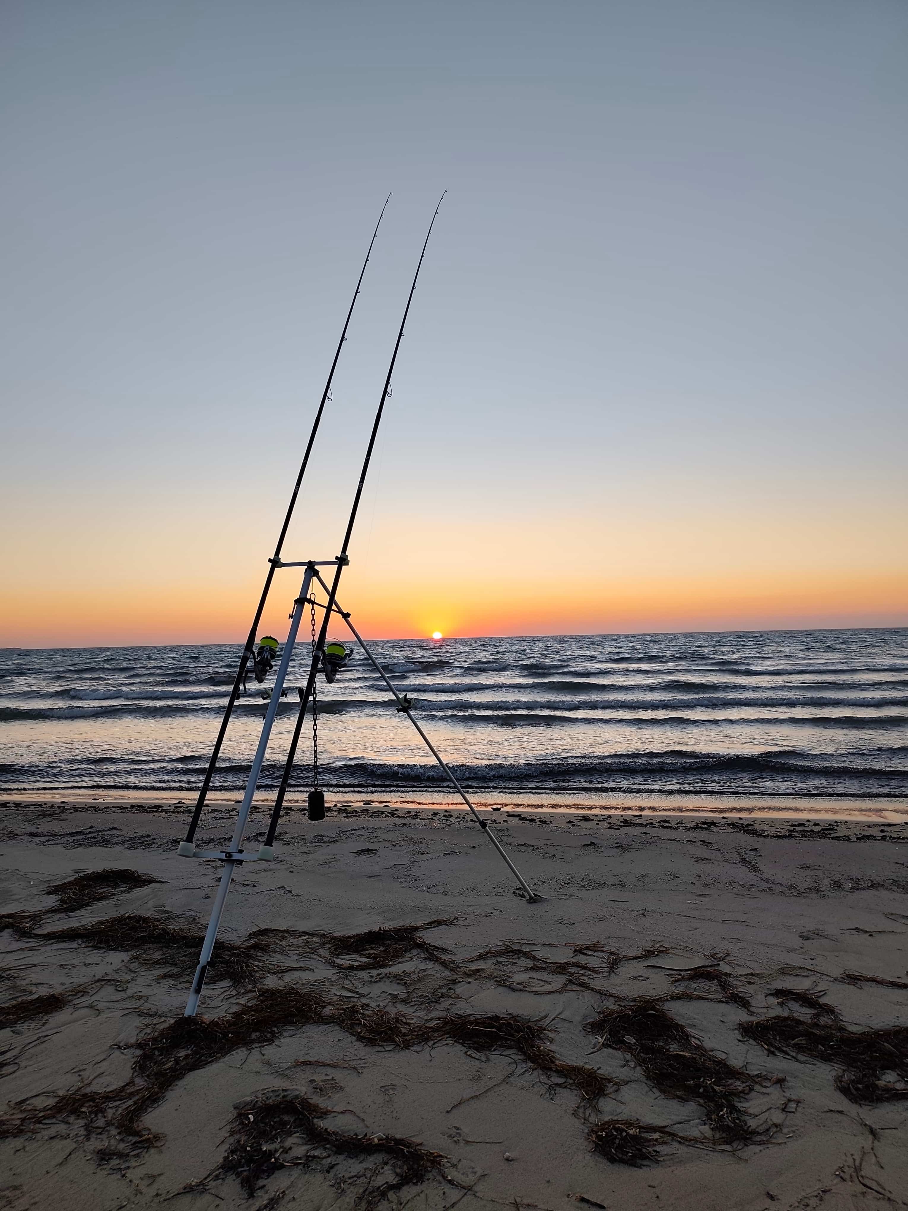Fishing Rods